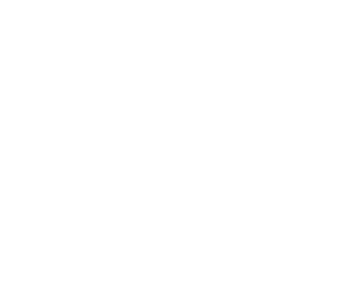 Düsseldorf Consulting